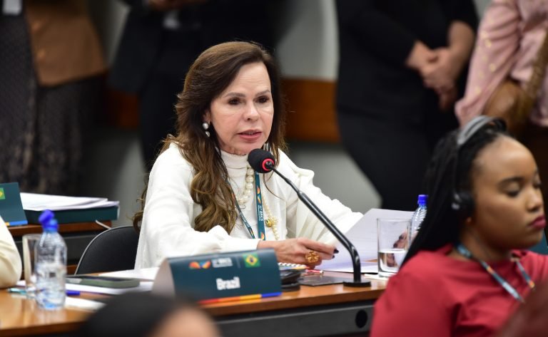 3ª Sessão de trabalho das Mulheres Parlamentares do BRICS. Senadora, Professora Dorinha Seabra (UNIÃO - TO)