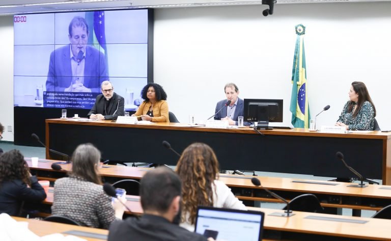 Seminário: Agenda Política da Cúpula dos Povos e Parlamento Brasileiro.