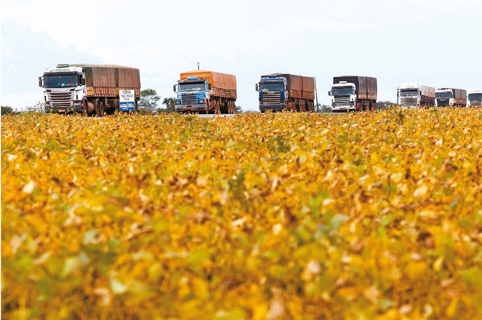 Itaú BBA recomenda cautela a produtores - 03/07/2025 - Vaivém