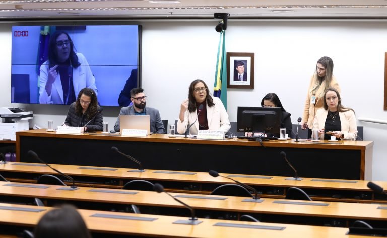 Audiência na Comissão de Segurança Pública