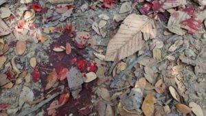 Policial militar atira no próprio amigo durante confusão em Niterói (RJ)