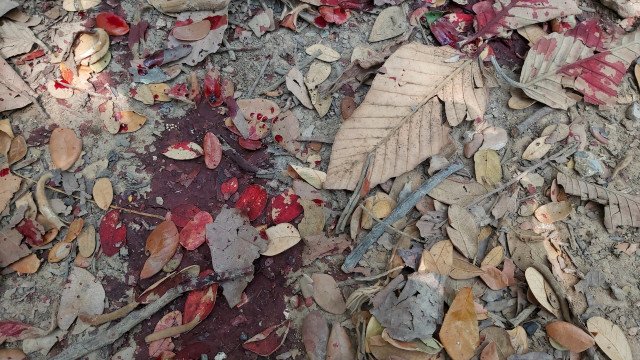 Policial militar atira no próprio amigo durante confusão em Niterói (RJ)