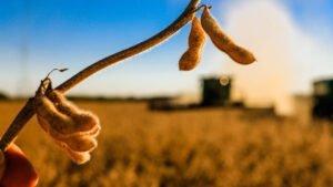 Recuperação judicial e falências podem ter novo recorde em 2026