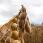 juros altos exigem gestão eficiente