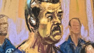 veja quem é quem e os próximos passos